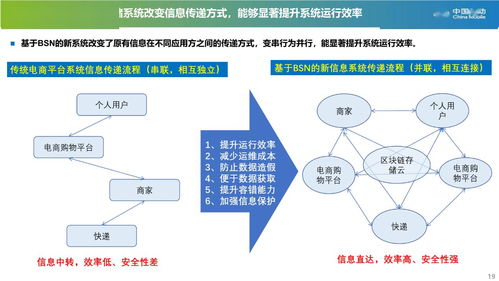 bsn第一次大賽三等獎(jiǎng)作品展示 網(wǎng)購(gòu)隱私寶 一種基于